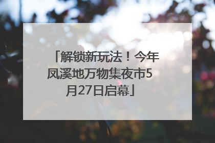 解锁新玩法！今年凤溪地万物集夜市5月27日启幕