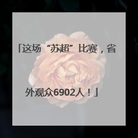 这场“苏超”比赛，省外观众6902人！