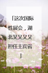 这次国际性展会，湖北又又又又担任主宾省