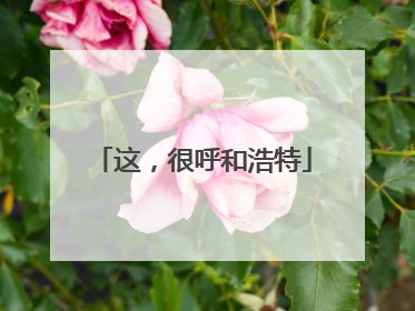 这，很呼和浩特