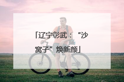 辽宁彰武：“沙窝子”焕新颜