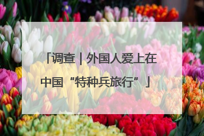 调查｜外国人爱上在中国“特种兵旅行”