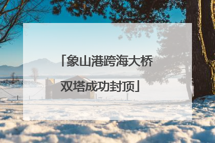 象山港跨海大桥双塔成功封顶