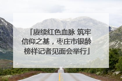 赓续红色血脉 筑牢信仰之基，枣庄市银龄榜样记者见面会举行