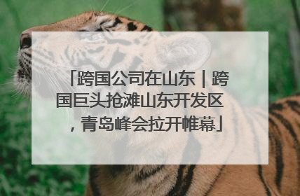 跨国公司在山东｜跨国巨头抢滩山东开发区，青岛峰会拉开帷幕
