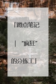 蹲点笔记｜“疯狂”的分拣工