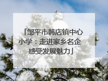 邹平市韩店镇中心小学：走进家乡名企 感受发展魅力