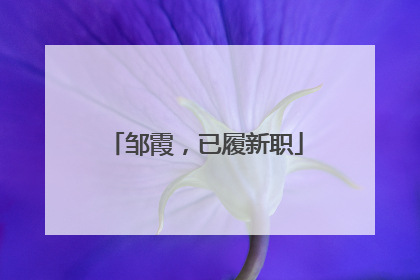 邹霞，已履新职