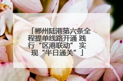 郴州陆港第六条全程提单线路开通 践行“区港联动” 实现“半日通关”