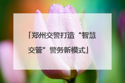 郑州交警打造“智慧交管”警务新模式