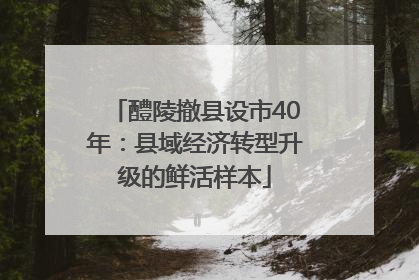 醴陵撤县设市40年：县域经济转型升级的鲜活样本