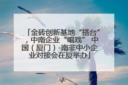 金砖创新基地“搭台”，中南企业“唱戏” 中国（厦门）-南非中小企业对接会在厦举办