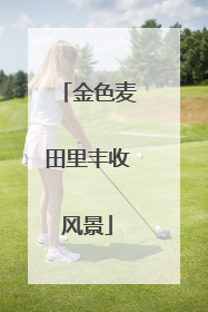 金色麦田里丰收风景