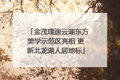 金茂璞逸云湖东方美学示范区亮相 更新北龙湖人居地标