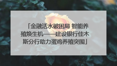 金融活水破困局 智能养殖焕生机——建设银行佳木斯分行助力蛋鸡养殖突围