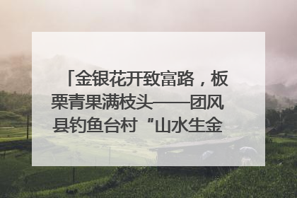 金银花开致富路，板栗青果满枝头——团风县钓鱼台村“山水生金”谱写共富新篇章
