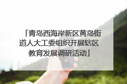 青岛西海岸新区黄岛街道人大工委组织开展辖区教育发展调研活动