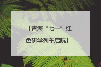 青海“七一”红色研学列车启航