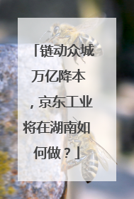 链动众城 万亿降本，京东工业将在湖南如何做？