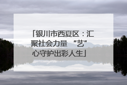 银川市西夏区：汇聚社会力量 “艺”心守护出彩人生