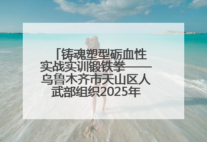 铸魂塑型砺血性 实战实训锻铁拳——乌鲁木齐市天山区人武部组织2025年度民兵集中轮训