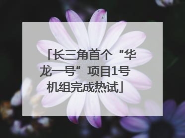 长三角首个“华龙一号”项目1号机组完成热试