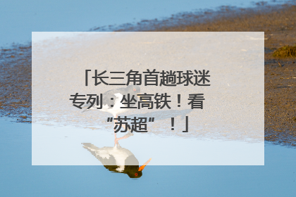 长三角首趟球迷专列：坐高铁！看“苏超”！