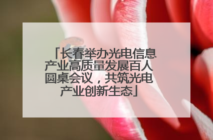 长春举办光电信息产业高质量发展百人圆桌会议，共筑光电产业创新生态