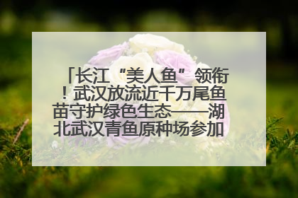 长江“美人鱼”领衔！武汉放流近千万尾鱼苗守护绿色生态——湖北武汉青鱼原种场参加2025年“全国放鱼日”增殖放流活动