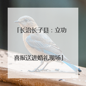 长治长子县：立功喜报送进婚礼现场