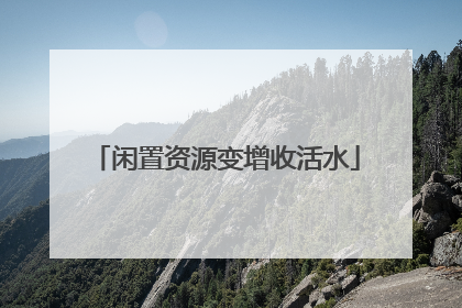闲置资源变增收活水