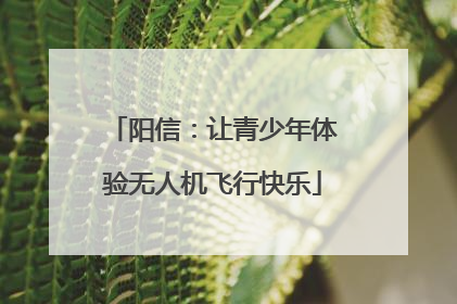 阳信：让青少年体验无人机飞行快乐