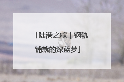 陆港之歌｜钢轨铺就的深蓝梦