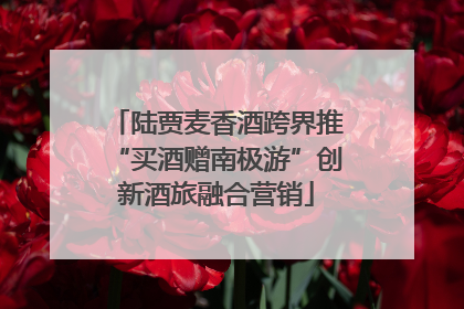陆贾麦香酒跨界推“买酒赠南极游”创新酒旅融合营销