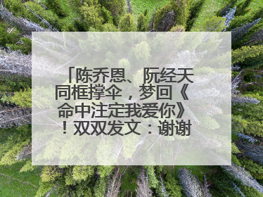 陈乔恩、阮经天同框撑伞，梦回《命中注定我爱你》！双双发文：谢谢我们都没变