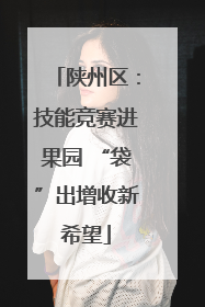 陕州区：技能竞赛进果园 “袋”出增收新希望