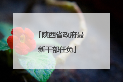 陕西省政府最新干部任免