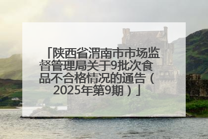 陕西省渭南市市场监督管理局关于9批次食品不合格情况的通告（2025年第9期）