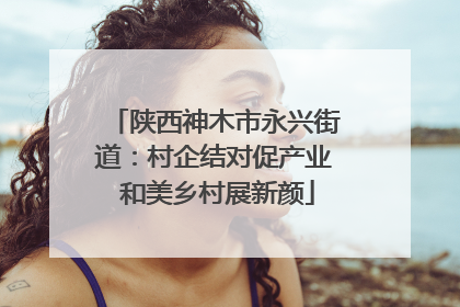 陕西神木市永兴街道：村企结对促产业 和美乡村展新颜