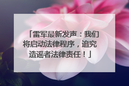 雷军最新发声：我们将启动法律程序，追究造谣者法律责任！