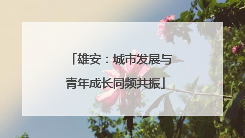 雄安：城市发展与青年成长同频共振