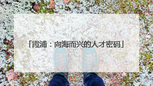 霞浦：向海而兴的人才密码