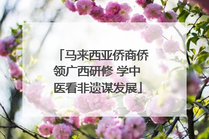 马来西亚侨商侨领广西研修 学中医看非遗谋发展
