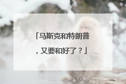马斯克和特朗普，又要和好了？
