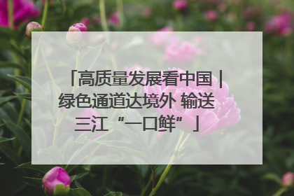 高质量发展看中国｜绿色通道达境外 输送三江“一口鲜”