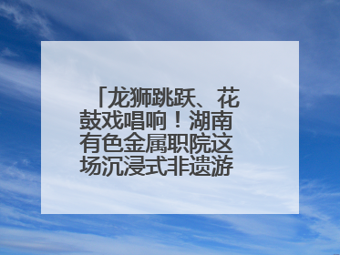 龙狮跳跃、花鼓戏唱响！湖南有色金属职院这场沉浸式非遗游园活动很带感