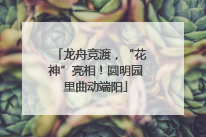 龙舟竞渡，“花神”亮相！圆明园里曲动端阳