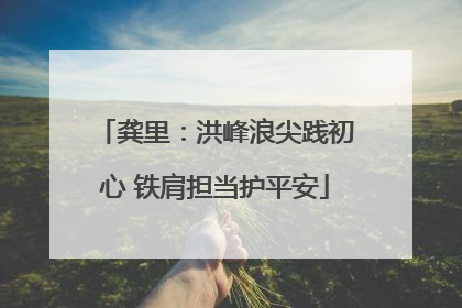龚里：洪峰浪尖践初心 铁肩担当护平安