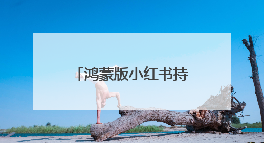 鸿蒙版小红书持续上新，新增图片美颜等功能，用户心愿加速成真！