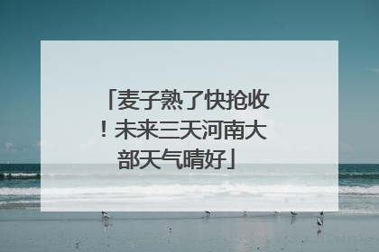 麦子熟了快抢收！未来三天河南大部天气晴好